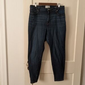 Everlane 35/20 Curvy High Rise Skinny Denim Blue Jeans